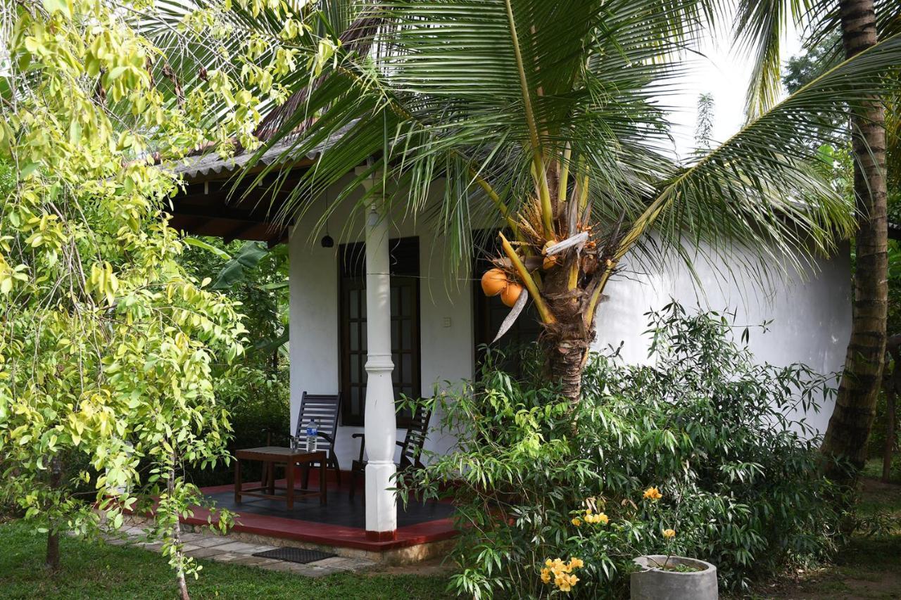 Bay Hill Guest House タンガラ エクステリア 写真