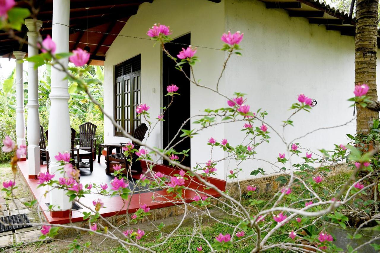 Bay Hill Guest House タンガラ エクステリア 写真