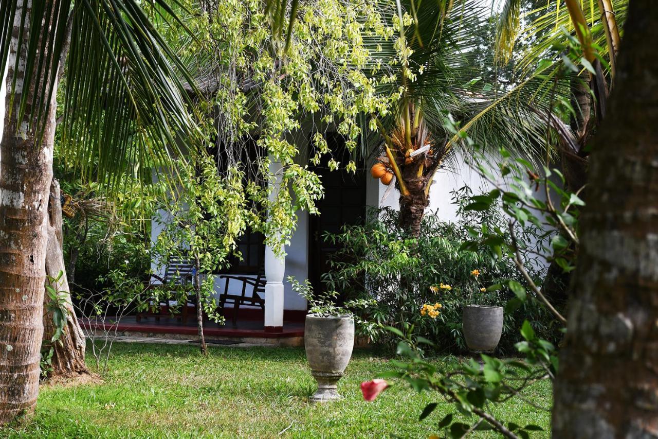 Bay Hill Guest House タンガラ エクステリア 写真