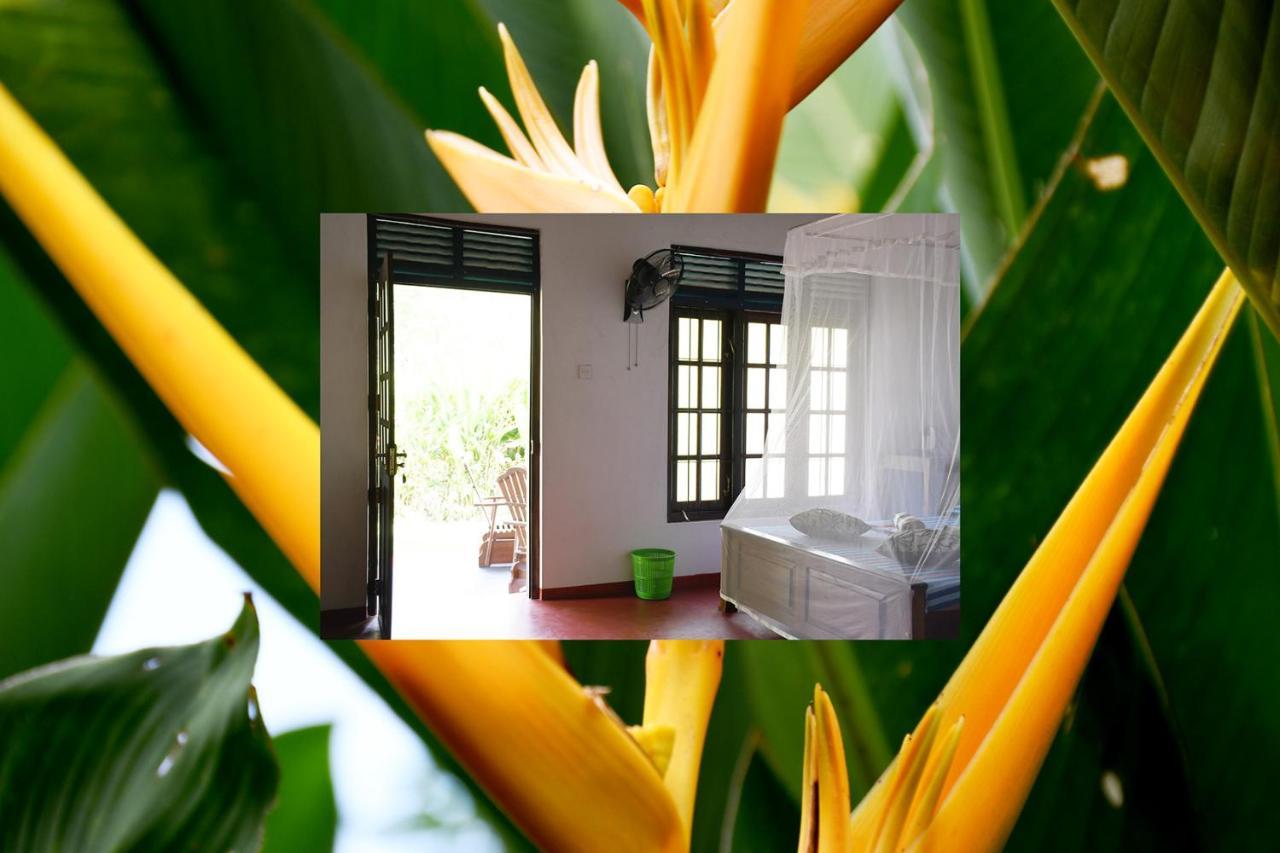 Bay Hill Guest House タンガラ エクステリア 写真