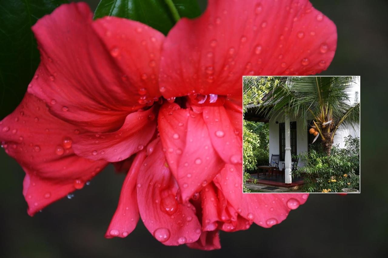 Bay Hill Guest House タンガラ エクステリア 写真