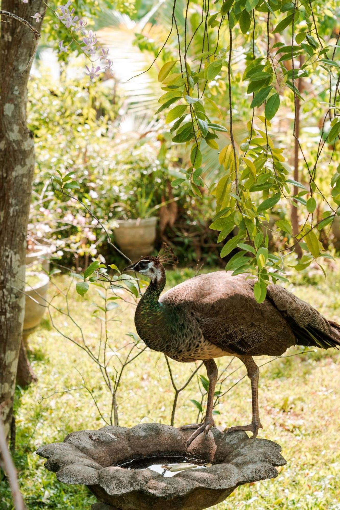 Bay Hill Guest House タンガラ エクステリア 写真