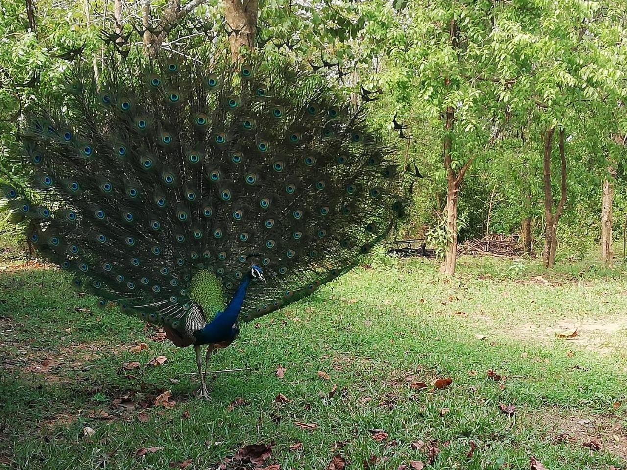 Bay Hill Guest House タンガラ エクステリア 写真